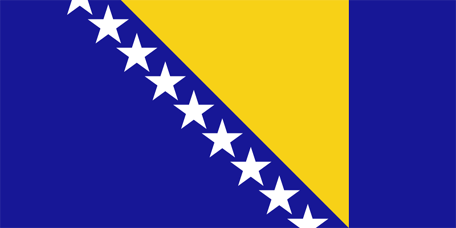 Bosnien und Herzegowinas flagga